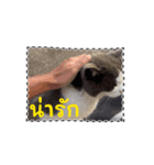 猫のダム タイ語バージョン ②（個別スタンプ：14）