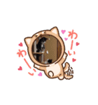 しっくすにゃんず（個別スタンプ：9）