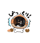 しっくすにゃんず（個別スタンプ：10）