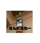 ななににー（個別スタンプ：7）