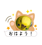 ソラミとヤマトの可愛いスタンプ3（個別スタンプ：13）