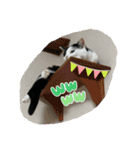モーモー猫2（個別スタンプ：4）