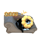 モーモー猫2（個別スタンプ：9）