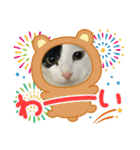 モーモー猫2（個別スタンプ：12）