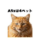 ブラフ過多な猫【ポーカー】（個別スタンプ：4）