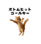 ブラフ過多な猫【ポーカー】（個別スタンプ：16）