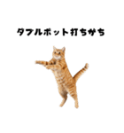 ブラフ過多な猫【ポーカー】（個別スタンプ：38）