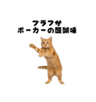 ブラフ過多な猫【ポーカー】（個別スタンプ：40）