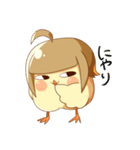 ぴよこ代理（個別スタンプ：7）