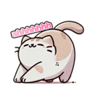 かわいい猫の日常の一コマ（個別スタンプ：2）