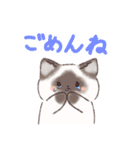 日常で使える！いろいろねこちゃん（個別スタンプ：4）