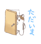 日常で使える！いろいろねこちゃん（個別スタンプ：17）
