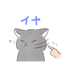 日常で使える！いろいろねこちゃん（個別スタンプ：19）