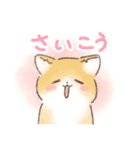 日常で使える！いろいろねこちゃん（個別スタンプ：20）