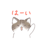日常で使える！いろいろねこちゃん（個別スタンプ：22）