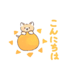 日常で使える！いろいろねこちゃん（個別スタンプ：24）