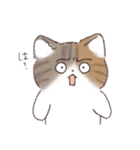 日常で使える！いろいろねこちゃん（個別スタンプ：40）