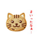 ニャンククッキー、ねっとり一言（個別スタンプ：17）