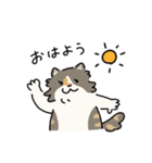 ちば家のにゃんず^._.^^._.^（個別スタンプ：1）