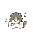 ちば家のにゃんず^._.^^._.^（個別スタンプ：7）
