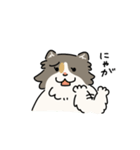 ちば家のにゃんず^._.^^._.^（個別スタンプ：9）
