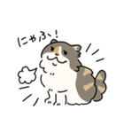 ちば家のにゃんず^._.^^._.^（個別スタンプ：12）