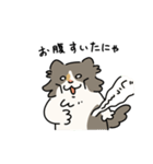 ちば家のにゃんず^._.^^._.^（個別スタンプ：16）