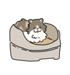 ちば家のにゃんず^._.^^._.^（個別スタンプ：17）