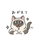 ちば家のにゃんず^._.^^._.^（個別スタンプ：20）