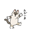 ちば家のにゃんず^._.^^._.^（個別スタンプ：21）