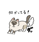 ちば家のにゃんず^._.^^._.^（個別スタンプ：22）