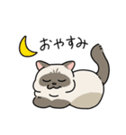 ちば家のにゃんず^._.^^._.^（個別スタンプ：24）