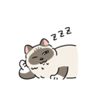 ちば家のにゃんず^._.^^._.^（個別スタンプ：25）
