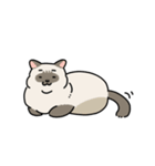 ちば家のにゃんず^._.^^._.^（個別スタンプ：26）