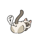 ちば家のにゃんず^._.^^._.^（個別スタンプ：27）