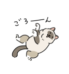ちば家のにゃんず^._.^^._.^（個別スタンプ：28）