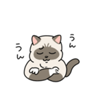 ちば家のにゃんず^._.^^._.^（個別スタンプ：29）