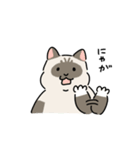 ちば家のにゃんず^._.^^._.^（個別スタンプ：31）