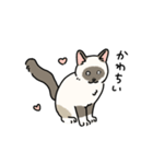 ちば家のにゃんず^._.^^._.^（個別スタンプ：34）