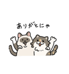 ちば家のにゃんず^._.^^._.^（個別スタンプ：35）