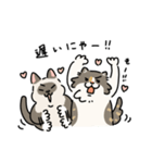 ちば家のにゃんず^._.^^._.^（個別スタンプ：38）