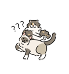 ちば家のにゃんず^._.^^._.^（個別スタンプ：39）