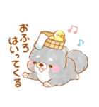生活❤️いやしばいぬ❤️黒柴（個別スタンプ：25）
