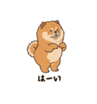 ふわもこチャウチャウ（個別スタンプ：2）