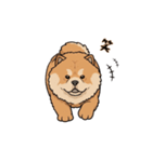 ふわもこチャウチャウ（個別スタンプ：3）