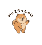 ふわもこチャウチャウ（個別スタンプ：13）