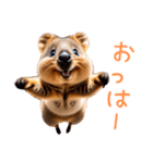 ハッピーアニマル_クオッカワラビー34（個別スタンプ：7）