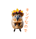 ハッピーアニマル_クオッカワラビー34（個別スタンプ：25）