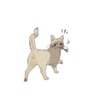 アニマル日和 犬猫版（個別スタンプ：14）