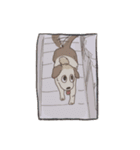アニマル日和 犬猫版（個別スタンプ：33）